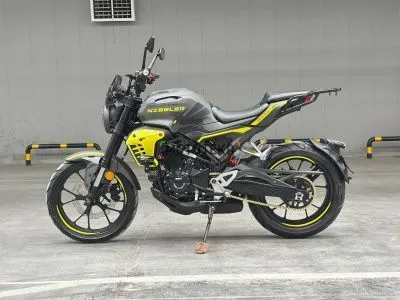 Мотоцикл дорожный Regulmoto (Регулмото) Nibbler серый/жёлтый с ПТС