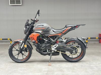 Мотоцикл дорожный Regulmoto (Регулмото) Nibbler серый/оранжевый с ПТС