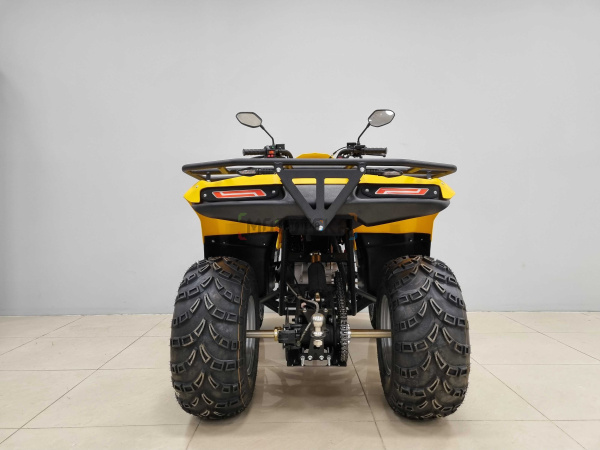 Квадроцикл IRBIS (Ирбис) ATV 200 LUX 2024 желтый с ПСМ | Мототека