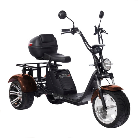 Электроскутер SKYBOARD (Скайборд) TRIKE BR80 (АКБ 60V23Ah) | Мототека
