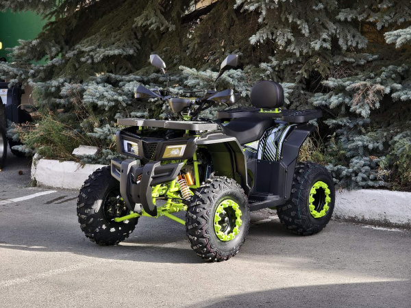 Квадроцикл R - MOTO (Р - Мото) Lion 200Х черный (машинокомплект) | Мототека