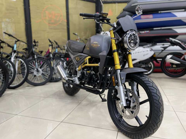Мотоцикл дорожный MotoLand (Мотолэнд) Scrambler 250 с ПТС | Мототека